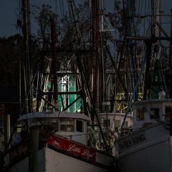 Darien Shrimp Boats
