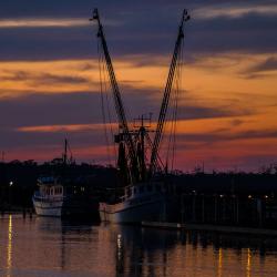 Darien Shrimp Boats