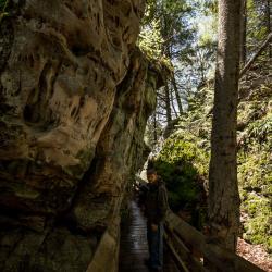 Beartown State Park WV