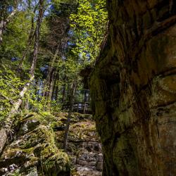 Beartown State Park WV