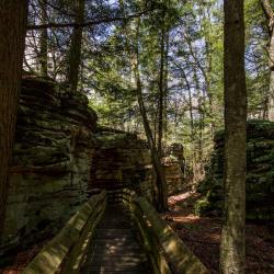 Beartown State Park WV
