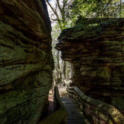 Beartown State Park WV