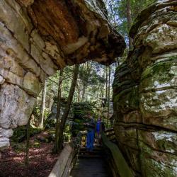 Beartown State Park WV