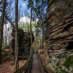 Beartown State Park WV