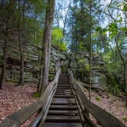 Beartown State Park WV
