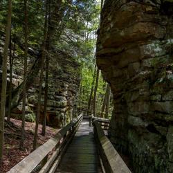 Beartown State Park WV