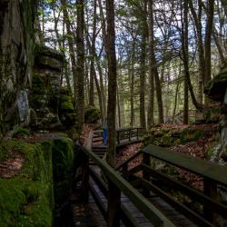 Beartown State Park WV