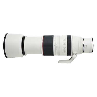 Canon RF 100-500mm F4.5-7.1 L IS USM