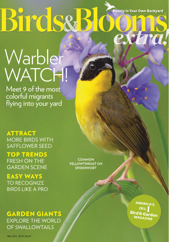 Published in Birds & Blooms Extra