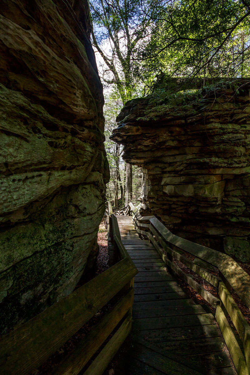 Beartown State Park WV