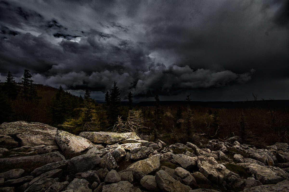 Dolly Sods Wilderness WV